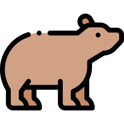 Bear mammal wild life bear icon Bear mammal wild life bear icon