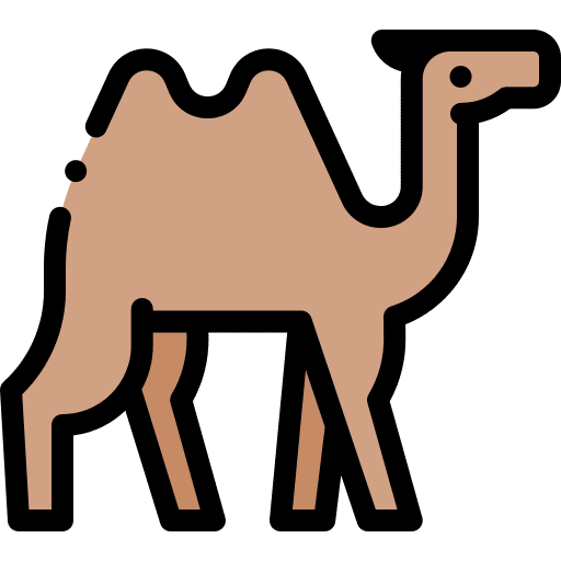 Camel animals zoo animal kingdom icon Camel animals zoo animal kingdom icon