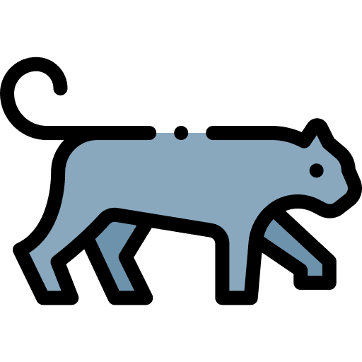 Panther panther mammal animal kingdom icon Panther panther mammal animal kingdom icon
