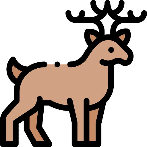 Reindeer wild life reindeer nature icon Reindeer wild life reindeer nature icon