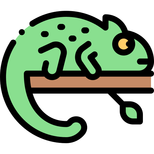 Chameleon animal kingdom wild life zoo icon Chameleon animal kingdom wild life zoo icon