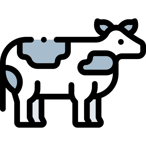 Cow zoo mammal animal kingdom icon Cow zoo mammal animal kingdom icon