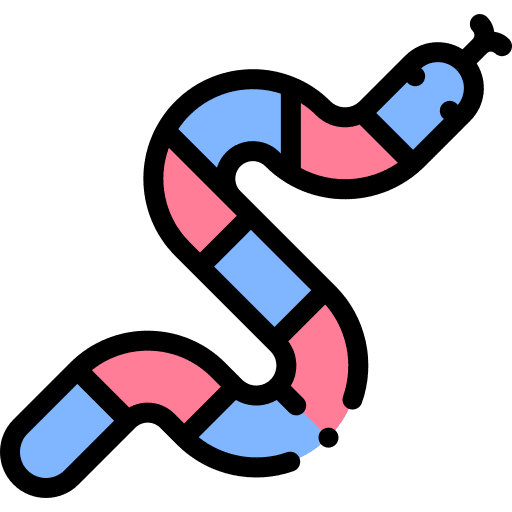 Snake animal kingdom wild life animals icon Snake animal kingdom wild life animals icon