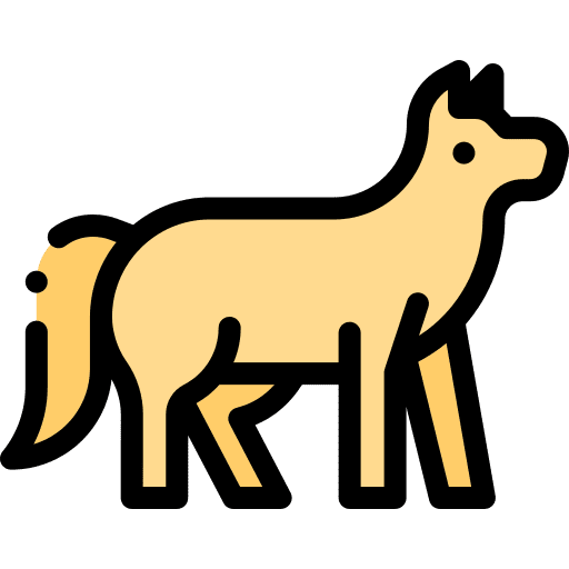 Wolf mammal wild life wolf icon Wolf mammal wild life wolf icon