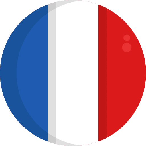 France country french flags icon