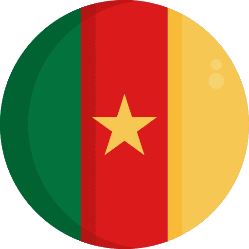Cameroon country country flag flags icon Cameroon country country flag flags icon
