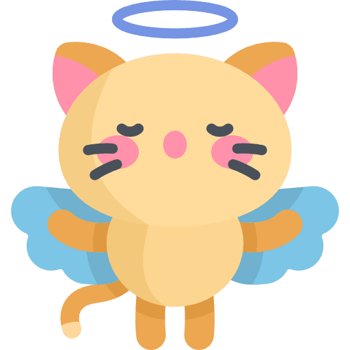 Kitty cat breed cute icon Kitty cat breed cute icon