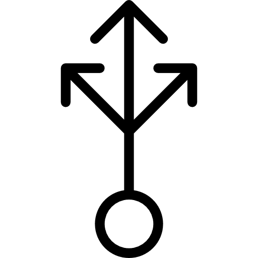 Multiply interface orientation arrows icon