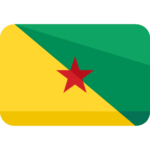 French guiana flags department region icon