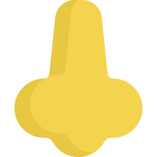 Nose nose noses healthcare and medical icon