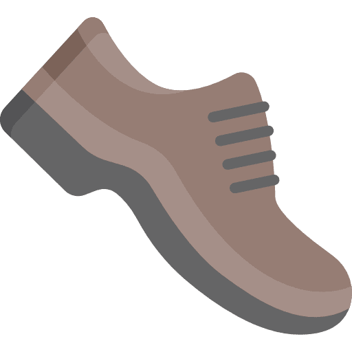 Shoe fashion shoe footwear icon