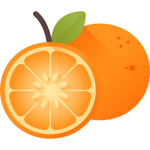 Orange food vegetable orange icon