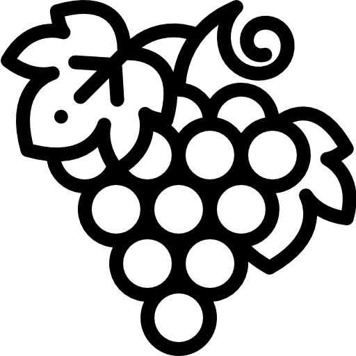 Grapes food grapes berry icon Grapes food grapes berry icon