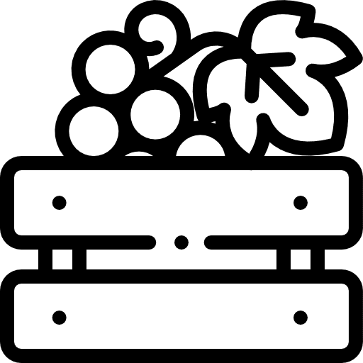 Grape diet food and restaurant grape icon Grape diet food and restaurant grape icon