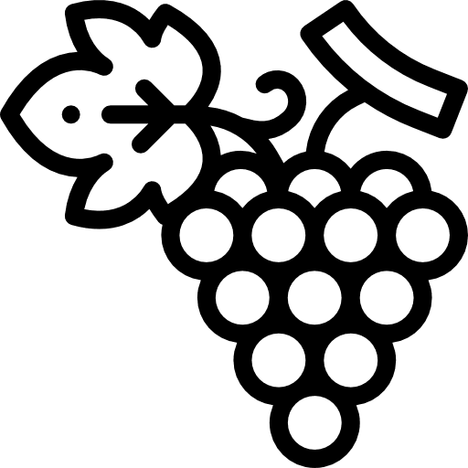 Grapes healthy food food vegan icon Grapes healthy food food vegan icon