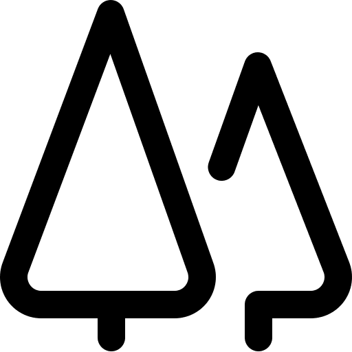 Pine botanical pine spruce icon