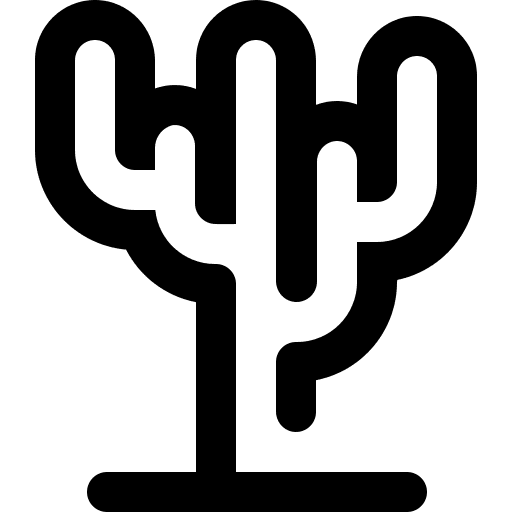 Cactus plant dry nature icon