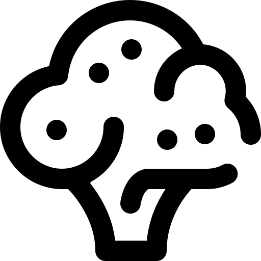 Broccoli food vegetables vegetarian icon