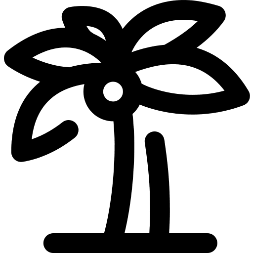 Palm tree botanical beach palm tree icon