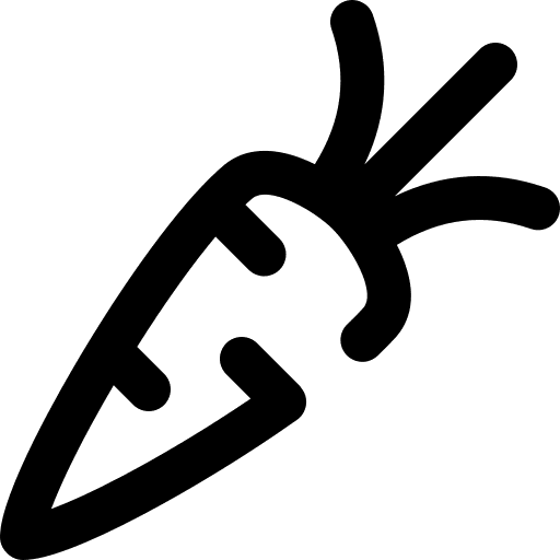 Carrot vegetarian healthy food vegan icon