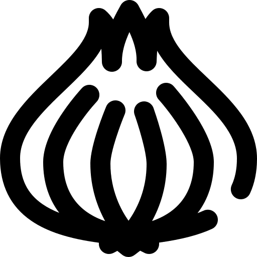 Onion diet vegan vegetarian icon