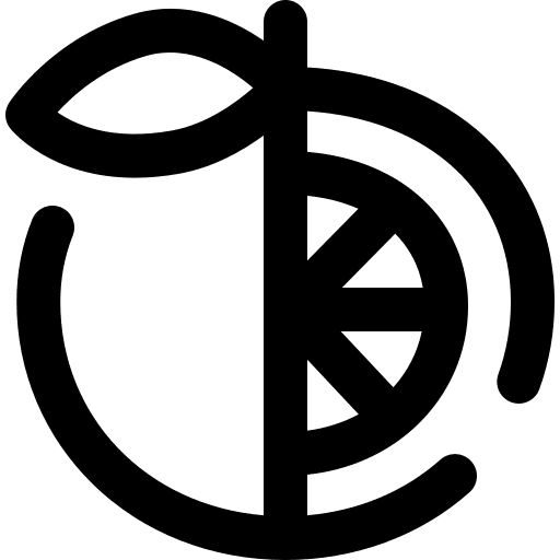 Orange fruit vegetarian diet icon