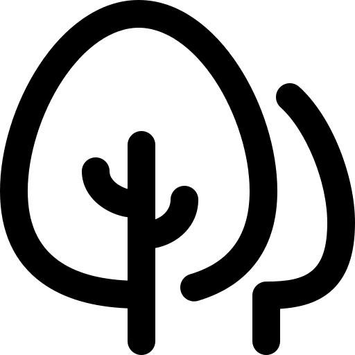 Pine tree spruce pine icon