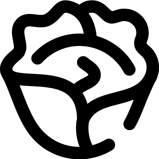 Cabbage cabbage organic diet icon