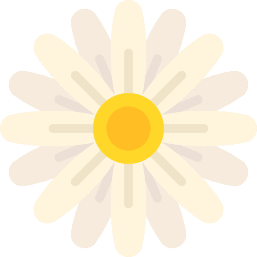 Daisy flower petals daisy icon