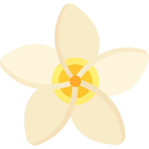 Jasmine blossom nature flower icon