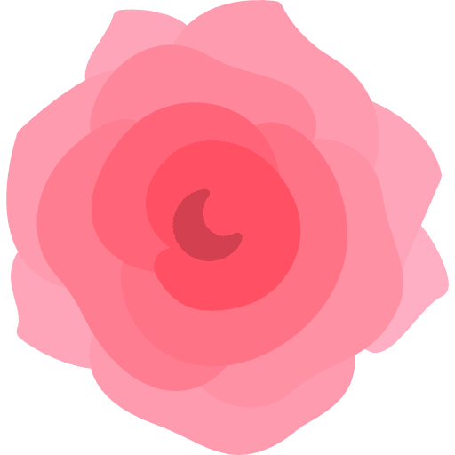 Rose flower petals botanical icon