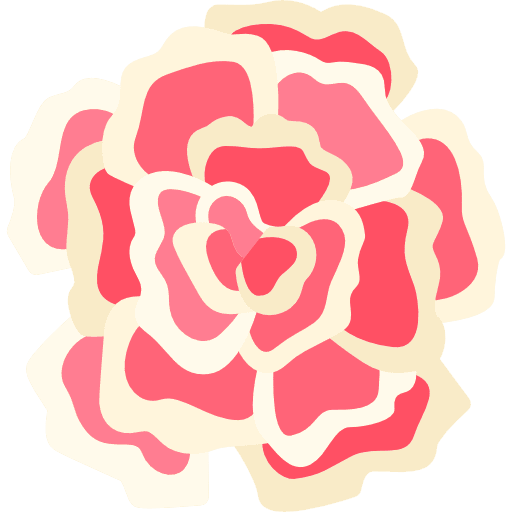 Carnation carnation petals blossom icon