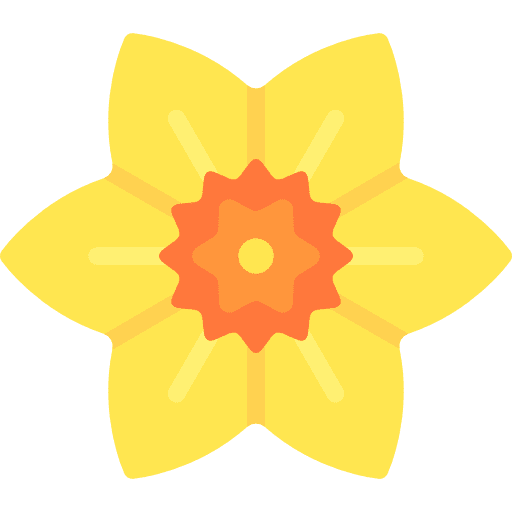 Daffodil petals nature flower icon
