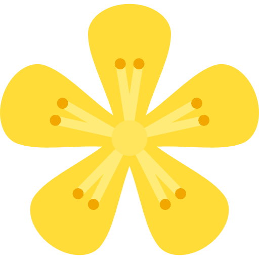 Hypericum botanical petals blossom icon Hypericum botanical petals blossom icon