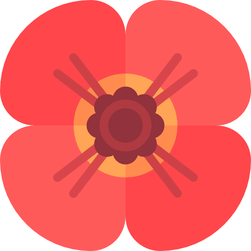 Poppy nature poppy blossom icon