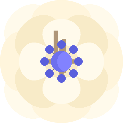 Anemone anemone flower petals icon Anemone anemone flower petals icon