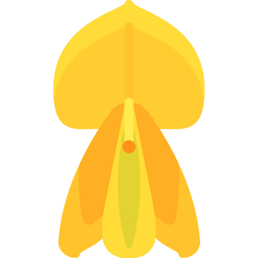 Broom nature broom petals icon Broom nature broom petals icon