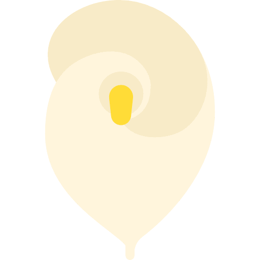 Calla botanical petals calla icon Calla botanical petals calla icon