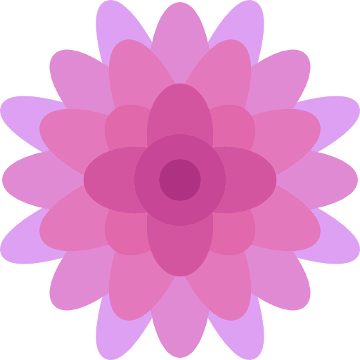 Chrysanthemum botanical blossom chrysanthemum icon Chrysanthemum botanical blossom chrysanthemum icon