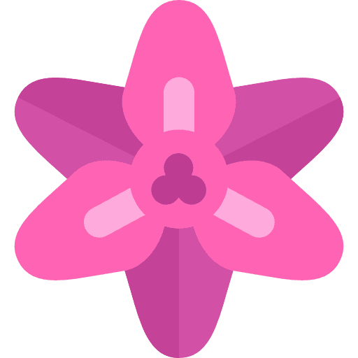 Gladiolus botanical flower blossom icon Gladiolus botanical flower blossom icon