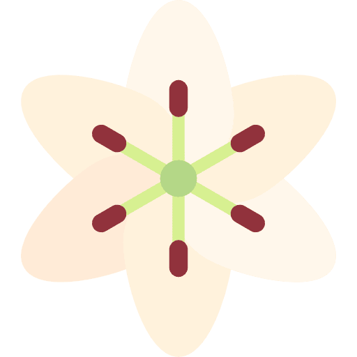 Lily blossom flower botanical icon Lily blossom flower botanical icon