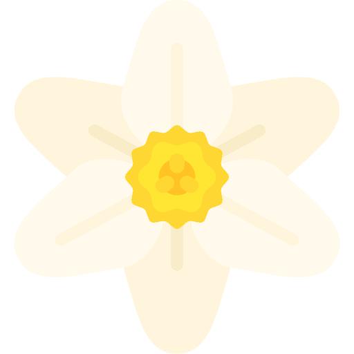 Narcissus narcissus botanical nature icon Narcissus narcissus botanical nature icon