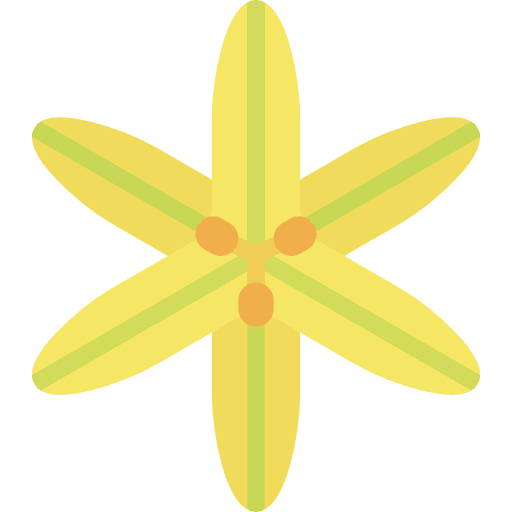 Sisyrinchium petals flower blossom icon Sisyrinchium petals flower blossom icon