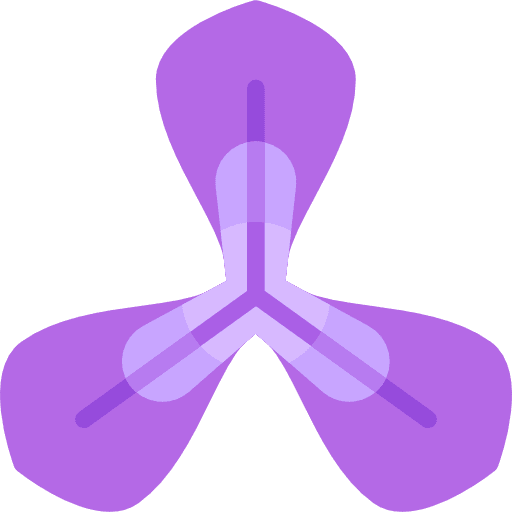 Iris nature botanical flower icon Iris nature botanical flower icon