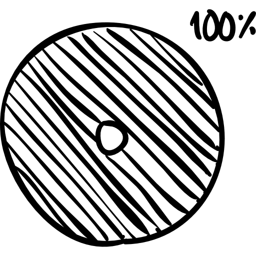 Circular loader 100 percent loaded sketch circular disc sketched icon