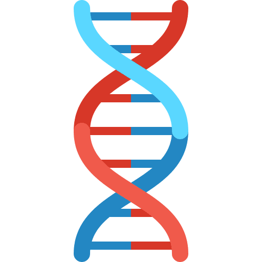 Dna dna strand strand search icon