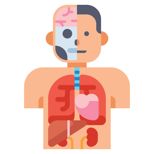 Human organs heart rate heart healthcare and medical icon
