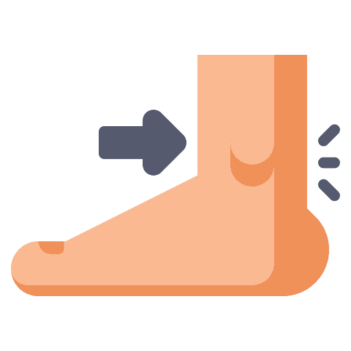 Ankle skeleton bones anatomy icon