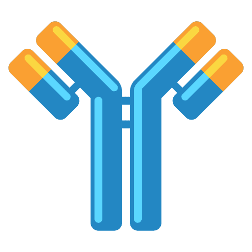 Antibodies immune system immune physiology icon