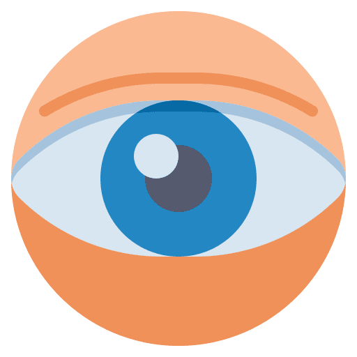 Eye anatomy ophtalmology eye icon